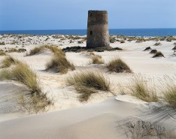 Dunas Parque Nacional Doñana en Andalucía Dunas Parque Nacional Doñana en Andalucía