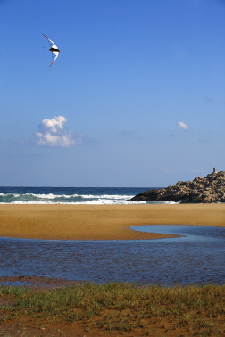 Playa belones en Región de Murcia