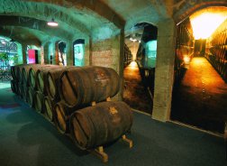 Museo Vino Haro en La Rioja